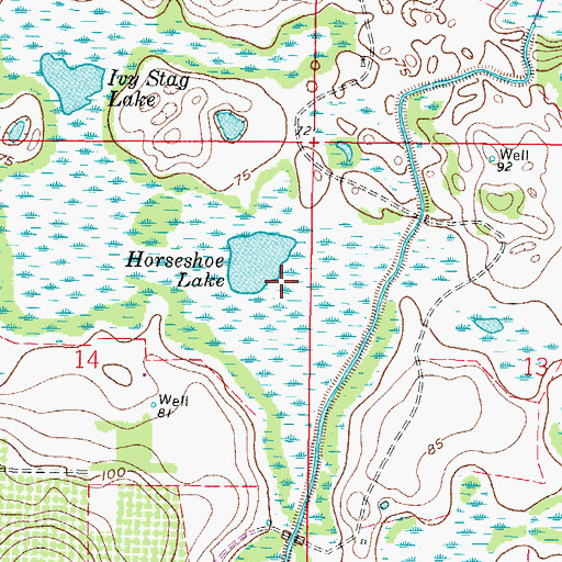 Topographic Map of Horseshoe Lake, FL