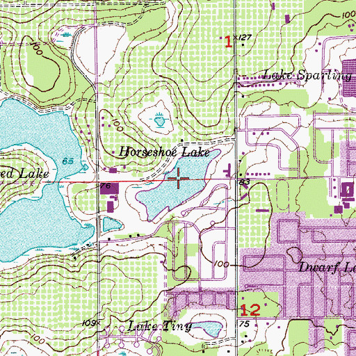 Topographic Map of Horseshoe Lake, FL