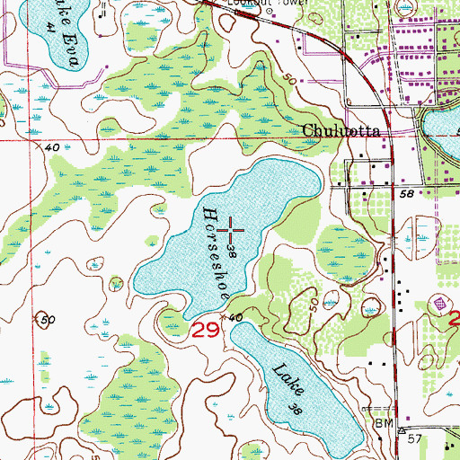 Topographic Map of Horseshoe Lake, FL