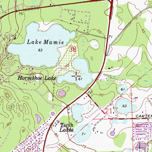 Topographic Map of Horseshoe Lake, FL