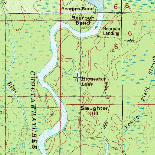 Topographic Map of Horseshoe Lake, FL