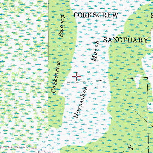 Topographic Map of Horseshoe Marsh, FL