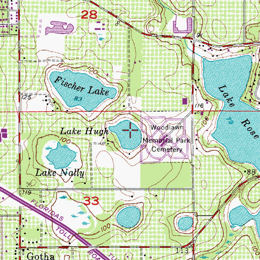 Topographic Map of Lake Hugh, FL