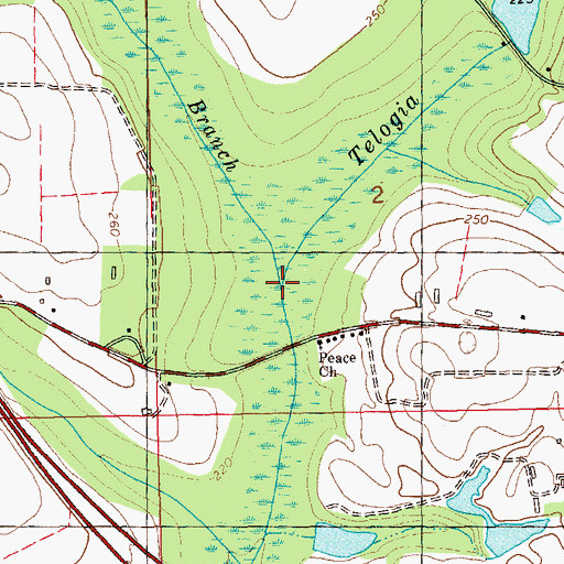Topographic Map of Hurricane Branch, FL