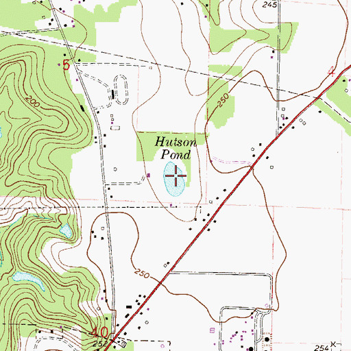Topographic Map of Hutson Pond, FL