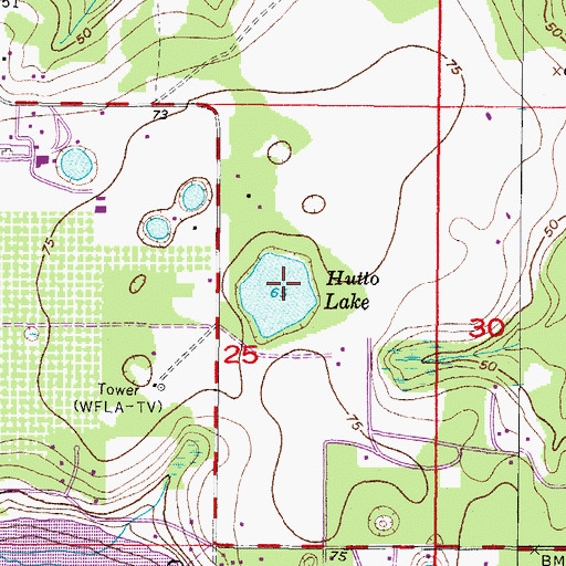 Topographic Map of Hutto Lake, FL