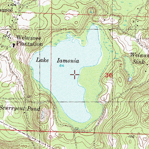Topographic Map of Lake Iamonia, FL