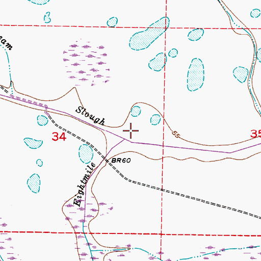 Topographic Map of Ice Cream Slough, FL