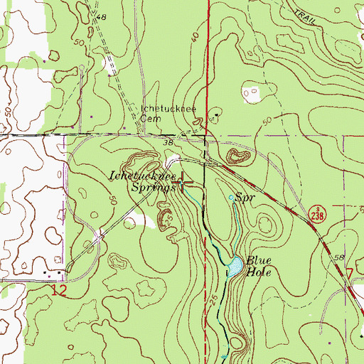 Topographic Map of Ichetucknee Springs, FL