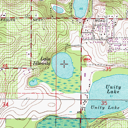 Topographic Map of Lake Idlewild, FL