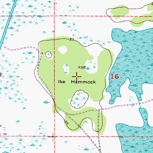 Topographic Map of Ike Hammock, FL