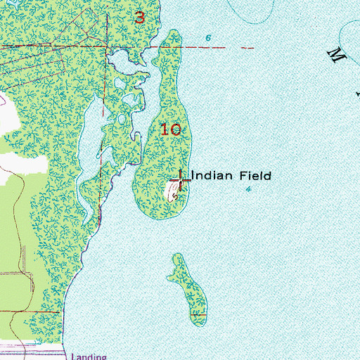 Topographic Map of Indian Field, FL