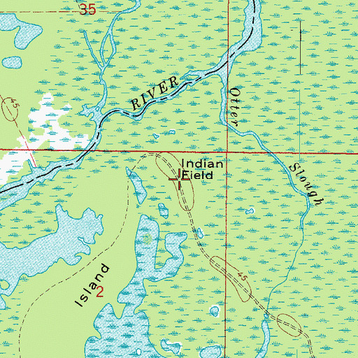 Topographic Map of Indian Field, FL