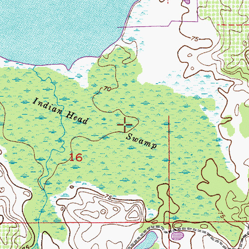 Topographic Map of Indian Head Swamp, FL