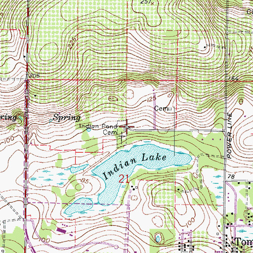 Topographic Map of Indian Pond Cemetery, FL
