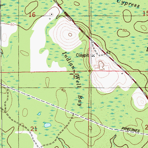 Topographic Map of Indian Well Bay, FL