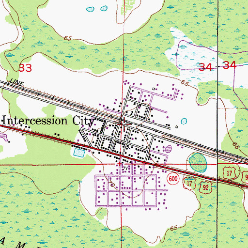 Topographic Map of Intercession City, FL