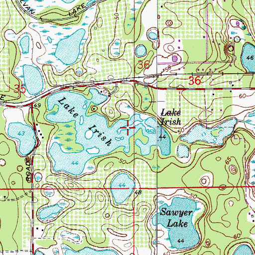 Topographic Map of Lake Irish, FL
