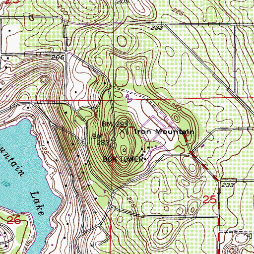 Topographic Map of Iron Mountain, FL