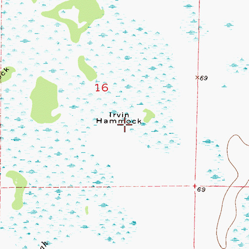 Topographic Map of Irvin Hammock, FL