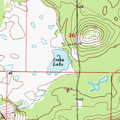 Topographic Map of Irvin Lake, FL