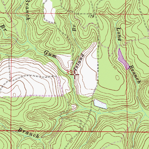 Topographic Map of Island Branch, FL