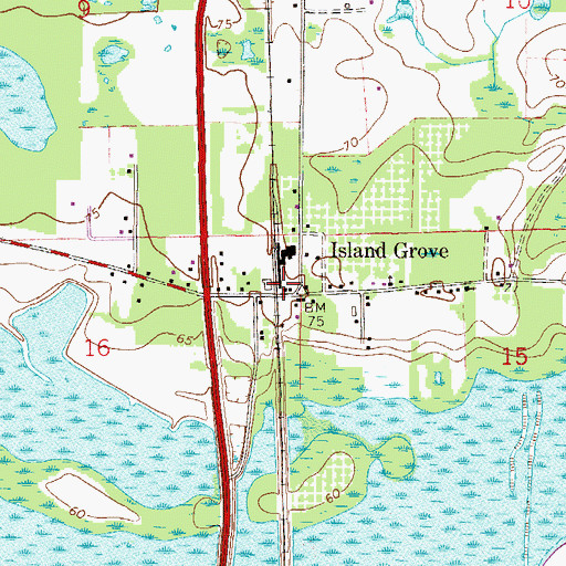 Topographic Map of Island Grove, FL