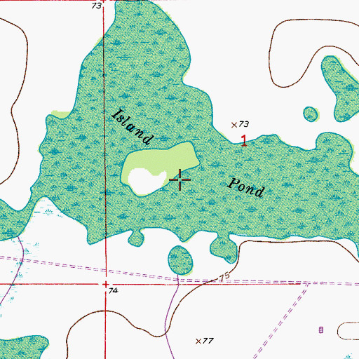 Topographic Map of Island Pond, FL