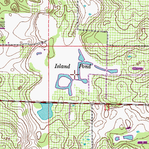 Topographic Map of Island Pond, FL