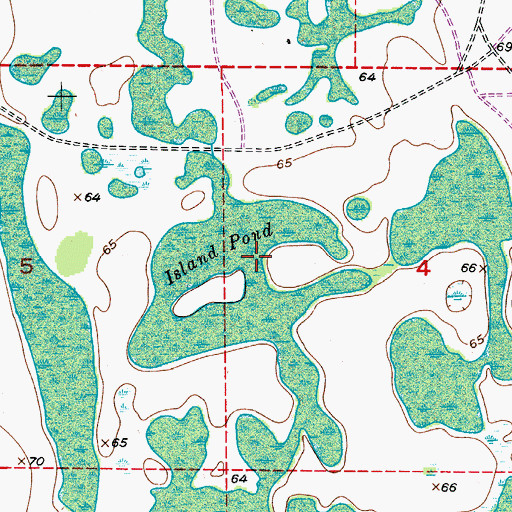 Topographic Map of Island Pond, FL