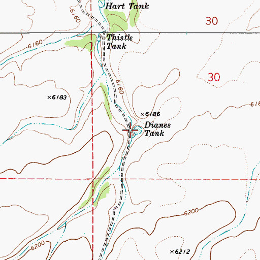 Topographic Map of Dianes Tank, AZ