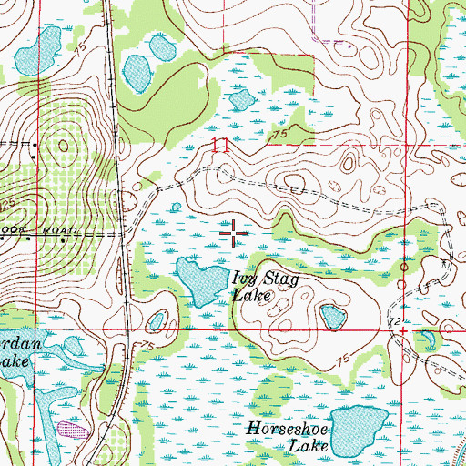 Topographic Map of Ivy Stag Lake, FL