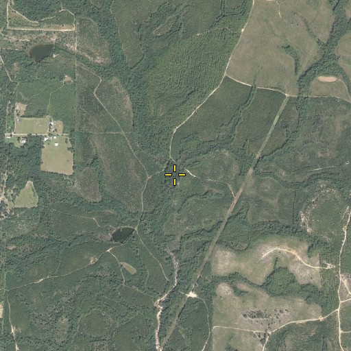 Aerial/Satellite Image of Jack Branch, FL