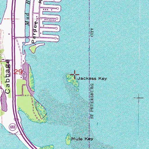 Topographic Map of Jackass Key, FL