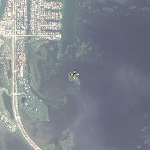 Aerial/Satellite Image of Jackass Key, FL