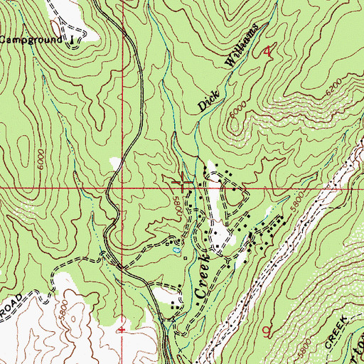 Topographic Map of Dick Williams Creek, AZ