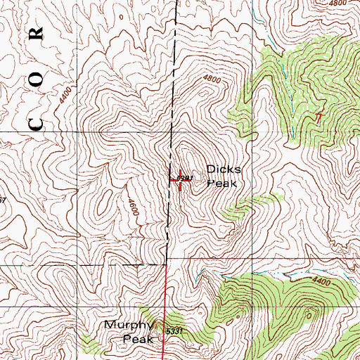 Topographic Map of Dicks Peak, AZ