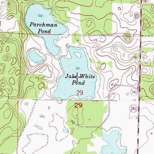 Topographic Map of Jake White Pond, FL