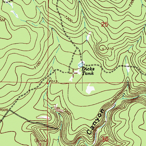 Topographic Map of Dicks Tank, AZ