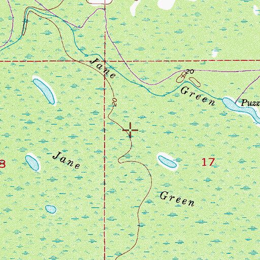 Topographic Map of Jane Green Swamp, FL