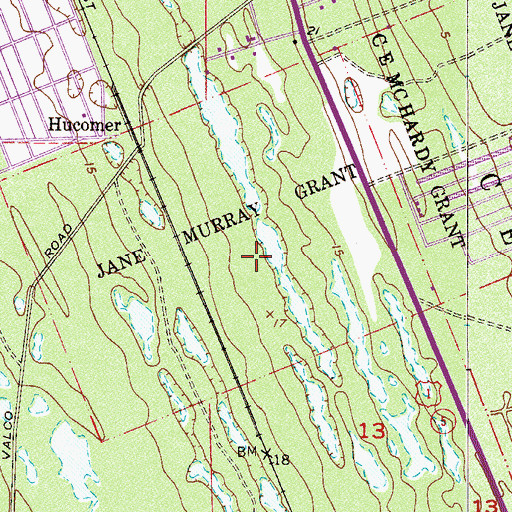 Topographic Map of Jane Murray Grant, FL