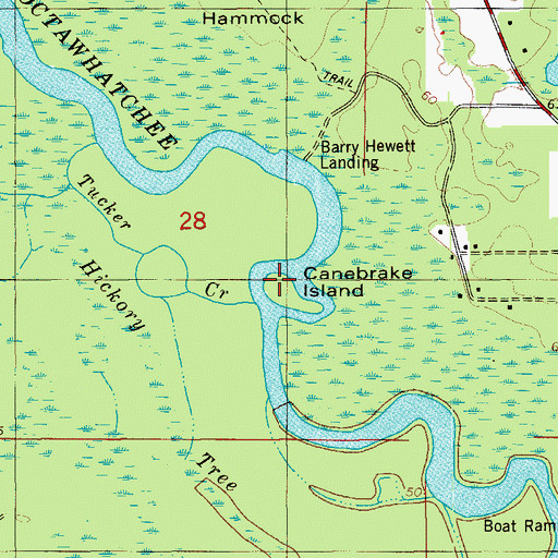 Topographic Map of Canebrake Island, FL