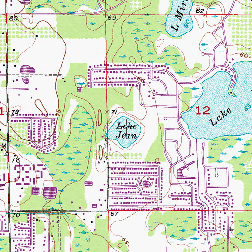 Topographic Map of Lake Jean, FL