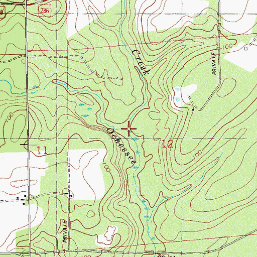 Topographic Map of Jenkins Creek, FL