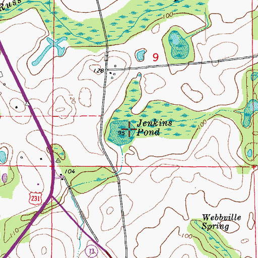 Topographic Map of Jenkins Pond, FL