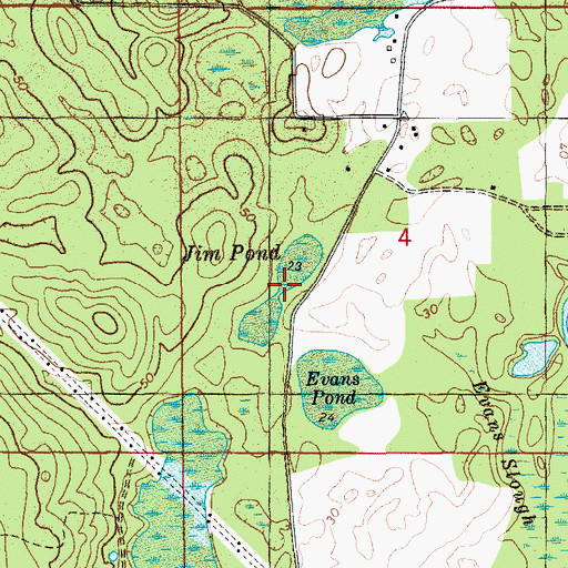 Topographic Map of Jim Pond, FL