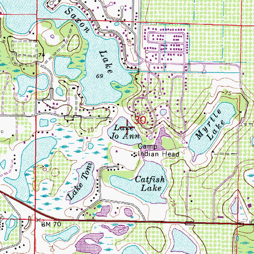 Topographic Map of Lake Jo Ann, FL