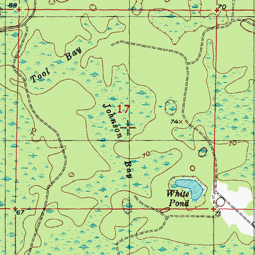 Topographic Map of Johnson Bay, FL