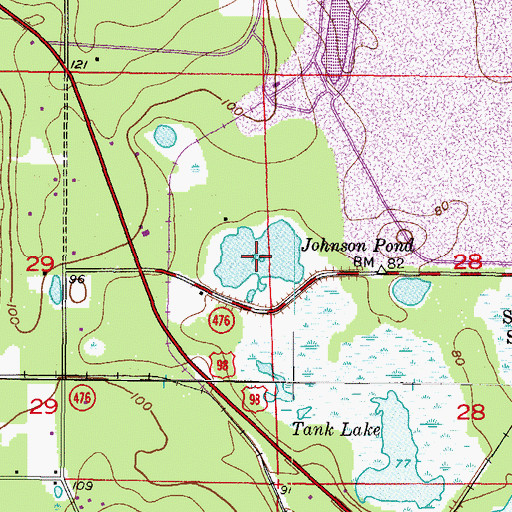 Topographic Map of Johnson Pond, FL