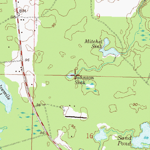 Topographic Map of Johnson Sink, FL